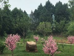 -中国香山·寿香谷