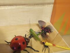 -陕西自然博物馆