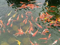 -韶关经律论国际酒店温泉