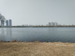 -长白岛森林公园