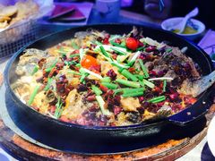 -老板恋上鱼(恒隆广场店)