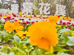 -海棠花溪(元大都城垣遗址公园)