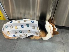 -老四川平头酸菜鱼(衙前店)