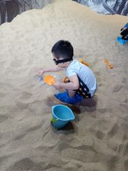 -恐龙探索乐园(磁器口店)