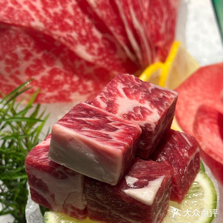 快来感受花胶鸡的魅力