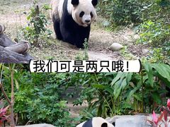 -灵玲国际马戏城