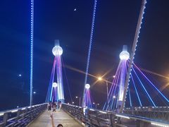 -中国西峡恐龙遗迹园