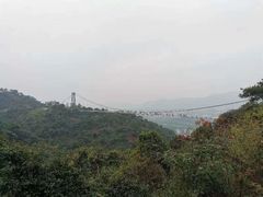 -南丹山森林王国
