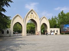 -上海佘山国家森林公园天马山园