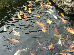 -聚福宝合苑食府(南头镇店)