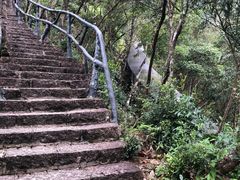 -龙湾潭国家森林公园