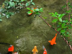 -漫笙舍Manse·咖啡·民宿