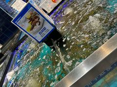 -大润发(康桥店)