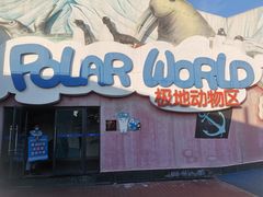 -海合安武汉极地海洋公园