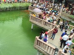 景观位-豫园湖心亭茶楼