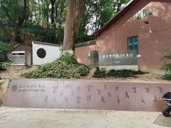 -马王堆汉墓遗址