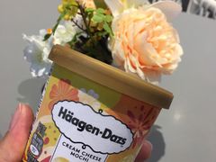 芝士麻糬冰淇淋-哈根达斯(皇庭店)