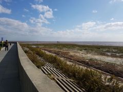 -南汇嘴观海公园