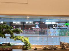 -七条鱼日本料理(远洋乐堤港店)