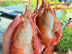 -蟹村草堂·苏式园林人文农家·大闸蟹