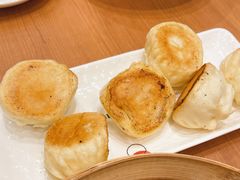 生煎包-阳阳中国饭(北京荟聚店)