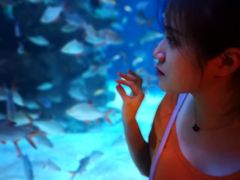 -成都浩海立方海洋公园