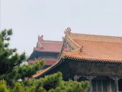-北陵公园