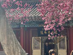 -潭柘寺景区