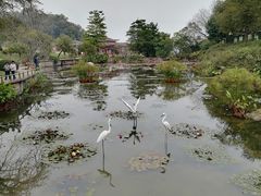 -广州莲花山旅游区