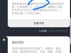 -谢列梅捷沃国际机场