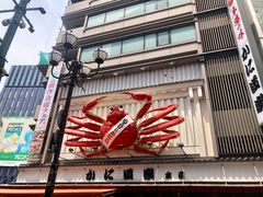 -蟹道乐(道顿堀本店)