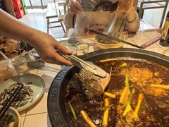-费明中罗非鱼(大石坝店)