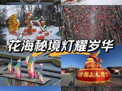 -洛阳市隋唐城遗址植物园