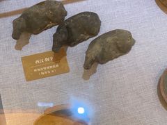 -呼和浩特博物馆