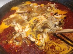 牛蛙火锅-老天桥蛙炉火锅(姑苏总店)