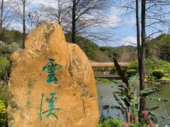 -云溪植物园