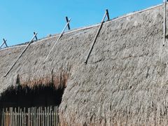 -河姆渡遗址博物馆