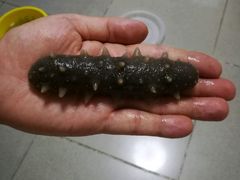 -宫品海参专卖店(静安大宁店)