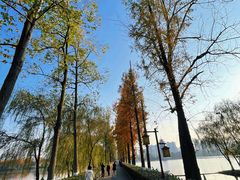 -洋湖国家湿地公园