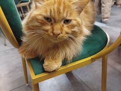 -后海16号·北京私房菜