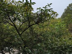 -故乡缘·香格里拉山庄(冷竹路店)