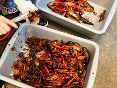 -虾小龙老长沙龙虾馆(坡子街店)