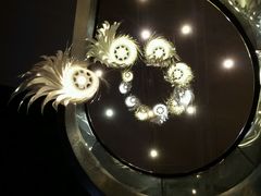 android_upload_pic-三亚湾红树林度假世界(木棉酒店)