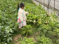 -金稼园·金平湖农家菜