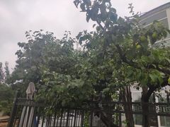 -丽泽山庄·生态怀柔菜·虹鳟鱼(红螺寺店)