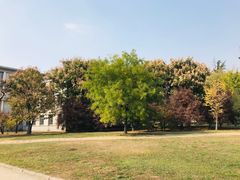 -安徽大学(龙河校区)