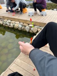 点击看大图 -前小桔亲子创意农场·草莓采摘·露营烧烤