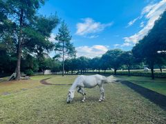 -Club Med地中海俱乐部·桂林度假村