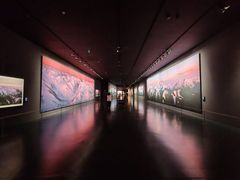 -罗红摄影艺术馆