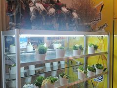 -海草馆自助餐厅(悦海店)